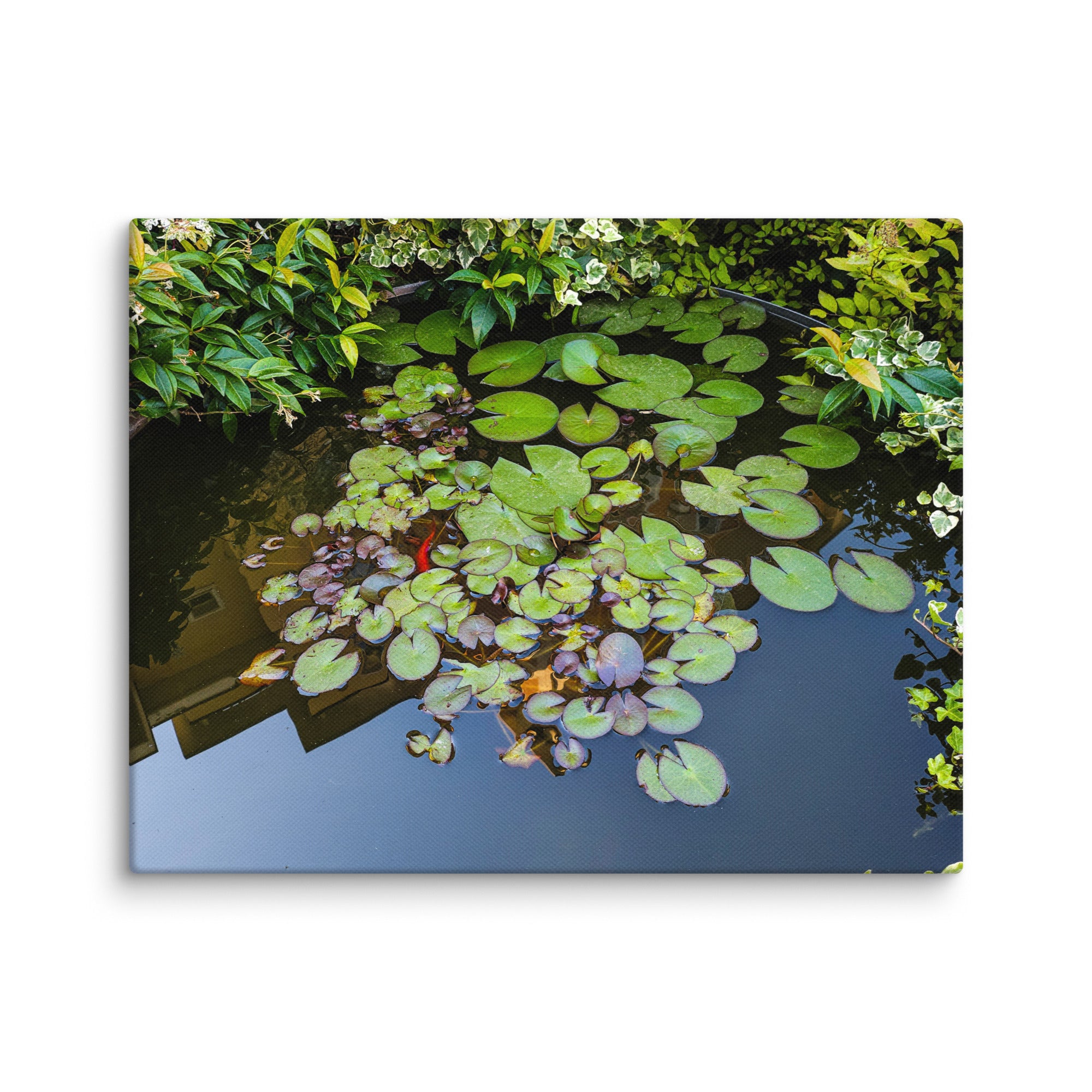 Canvas of a Pond and Lily Pads in Darfo Boario Terme Italy - Rosetta Creative Boutique
